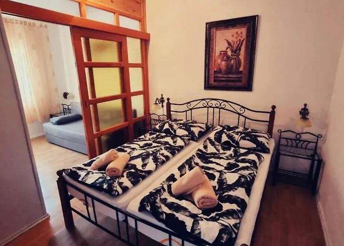 Apartment Viki