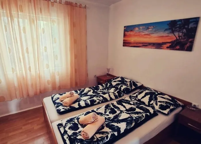 Apartment Viki