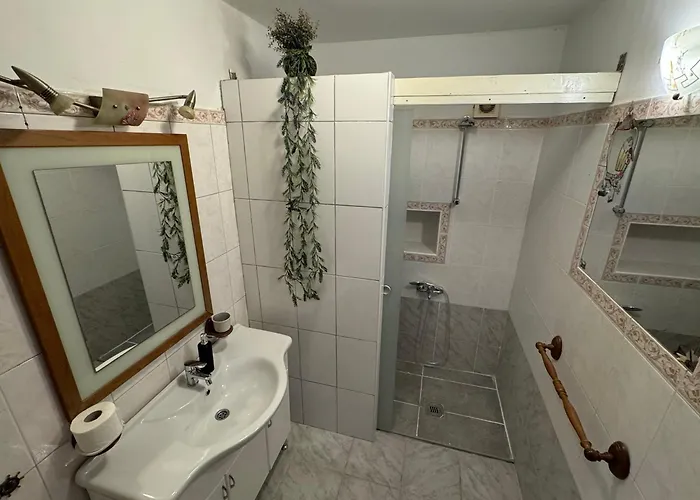 Apartment Viki *