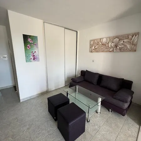 Viki Apartament